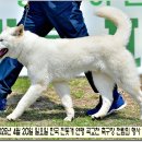 수컷 이미지