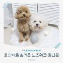 라온워크 | 강아지장난감 고민 끝! 코아이들 실리콘 노즈워크 솔직후기