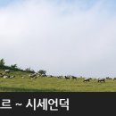 생장 Daum카페