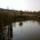 고경주유소 이미지