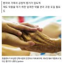 안락사 허용한지 6개월 된 호주 퀸즐랜드주 이미지