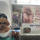 푸드리신사동맛집