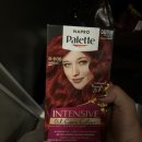 백팩커스펍&까페 | 멜버른 워홀 (멜버른에서기차타고시드니놀러간일상)