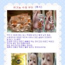 코코베베즈