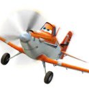 더스티(DUSTY) 이미지