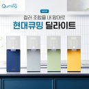 딜라이트인 이미지