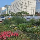 잠실역사거리 이미지