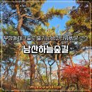 계절이 지나가는 하늘 | 남산하늘숲길 가는방법 무장애 데크길로 즐기는 남산타워 방문 코스