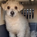 목포기독병원 이미지