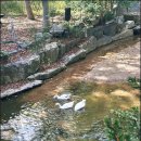 손맛두부촌 이미지