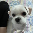 서천비치텔 | 갬성더하기, 서천해양글램핑 카바나 이용, 강추 후기
