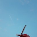 장림항(맛술촌) 이미지