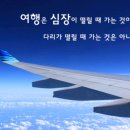 돈버는하니맘