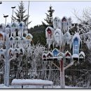 평창(강릉)휴게소 이미지