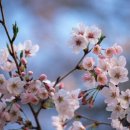 사계절미용실 - 공주시 산성시장1길 87-26 | 사계절미용실