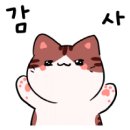 호야자동차용품 이미지