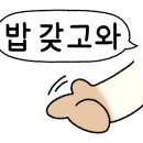 인생불고기 이미지