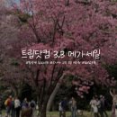 테마파크모텔 | 트리닷컴 3.3 메가세일⎟항공권, 호텔, 테마파크, 반값쿠폰(3월 특가)