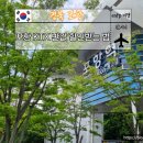 카멜리아 전주횟집 | 1박2일 포항 여행 KTX 반값 할인받고 6월 여행 다녀오기, 포항 맛집 오대양 물회