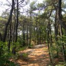 국제성지 둘레길 이미지