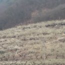 가증농장 이미지