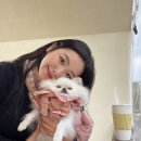 멜로우 | 반려동물 동반출입음식점 식품위생법 시행규칙 장난치나 .... 현저히 줄어든 제주애견동반식당 list...