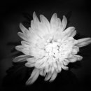 에이앤디(AND) 이미지