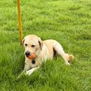 무창포카라반파크 | 보령 무창포 카라반 파크 펜션 여행 후기 !!