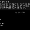 대즐