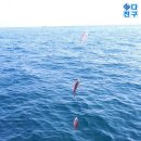 욕지바다낚시 네이버블로그