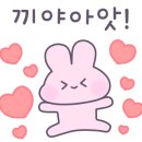 달콤한댕 이미지