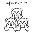 베이키스튜디오 네이버블로그