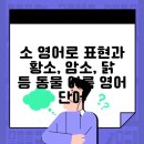 암소뱅크 이미지