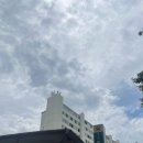 마포구청 화장실 이미지