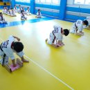 튼튼한 용인대 태권도장 이미지