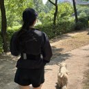 하이패션 - 양주시 평화로1416번길 14 | 러닝 용품 추천 흘러내림 없는 러닝벨트 하이페이스 후기