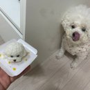 포레그스(삼송점) 네이버블로그