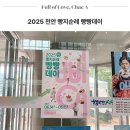채아농산물 | 천안 빵축제 2025 빵지순례 빵빵데이 천안빵집 추천