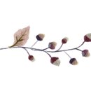 호텔 아리나 휘트니스 이미지