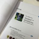 코스모엘엔비코스모와인 이미지