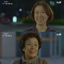 진주댁