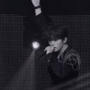 가지스테이 이미지