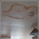 경기도 수원시 팔달구 권광로317번길 이미지