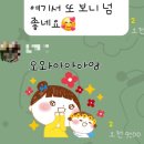 가자여행사주 이미지