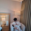 멍멍키친 | 4개월 아기랑 소노캄고양 슈페리어 더블룸 숙박후기