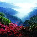 화산공원 이미지