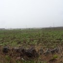 무릉중학교 이미지