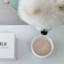 [리프릿 앰버서더 1기] 세놀레스 슬로우에이징 포뮬러 영양제 한달 급여후기