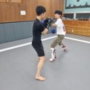 팀혼종합격투기옥계