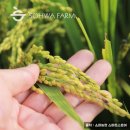 비결농장 이미지